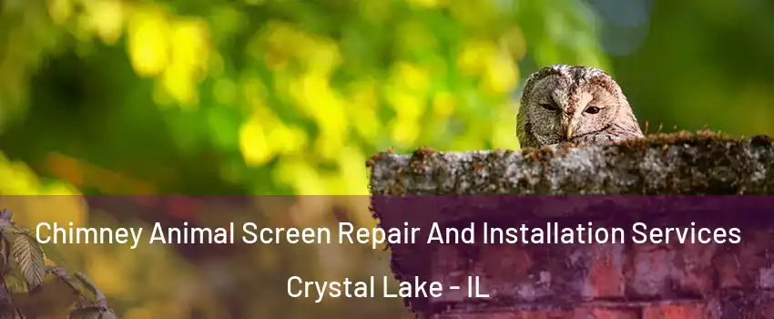  Chimney Animal Screen Repair And Installation Services Crystal Lake - IL