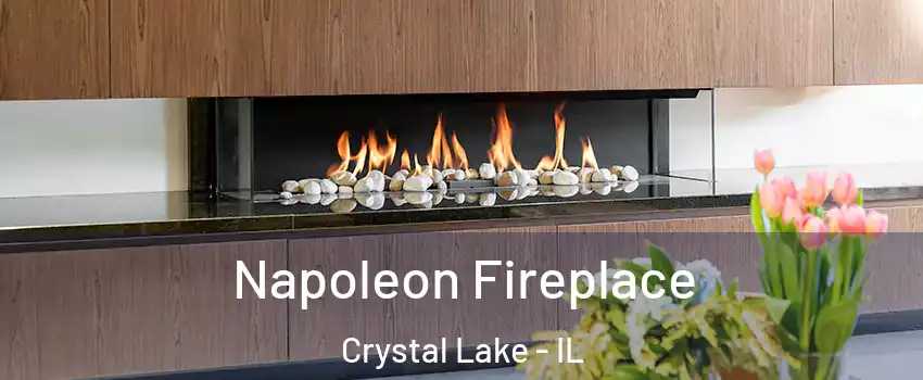  Napoleon Fireplace Crystal Lake - IL